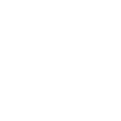 100% Secure Payment