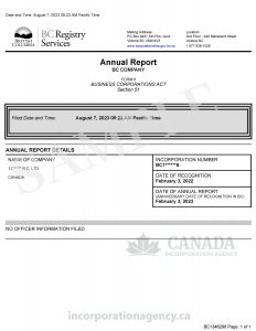 File Annual Return Online | Canada Incorporation Agency