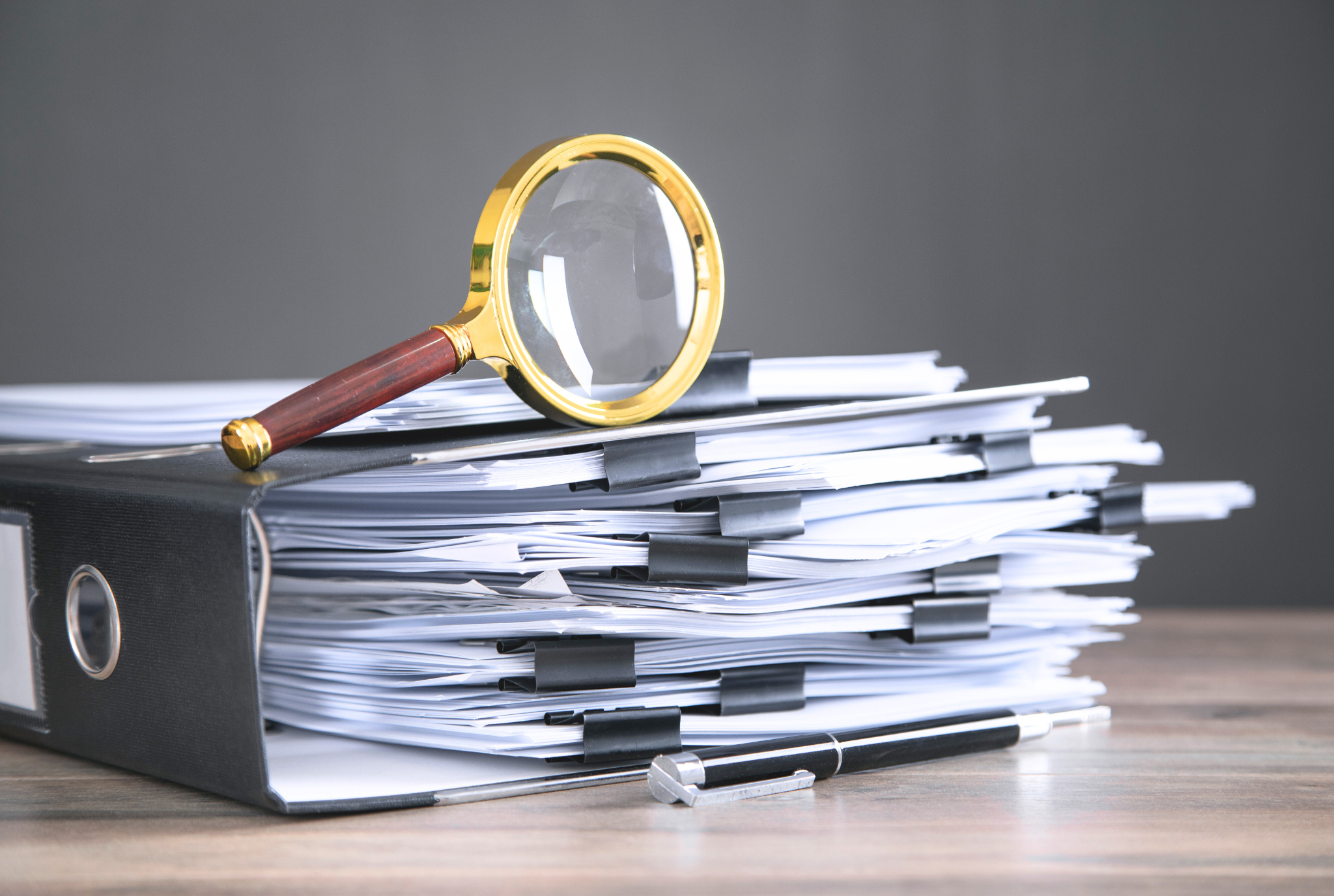 Business Searches in Canada