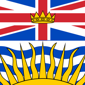 BC Standard Company Package